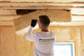 Best Weatherproofing Services  in Juno Ridge, FL